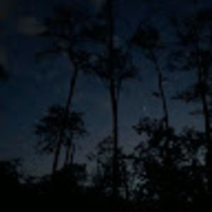 Meet your Posher, Aliyah